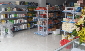vốn 100tr nên kinh doanh gì ở nông thôn