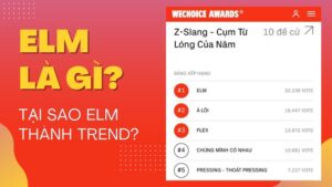 Cập nhật ngôn ngữ Gen Z Elm là gì